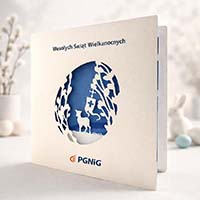 Biznesowe projekty Indywidualne 